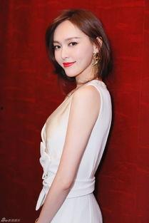 新山兰全部视频,探索未知世界的视觉之旅