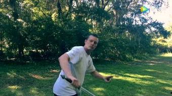 十二养生功法视频