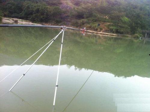 长杆短线钓鱼技巧视频,视频解析与实战攻略