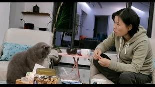 娇喘一分钟视频,视频中的心动瞬间回顾