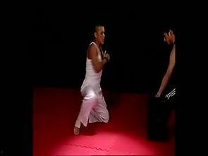 防身武术教学视频,视频教学精华回顾