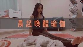 瑜枷视频,揭秘瑜伽与束缚艺术的完美融合